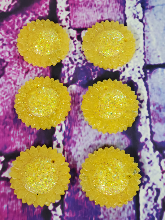 Sunflower minis