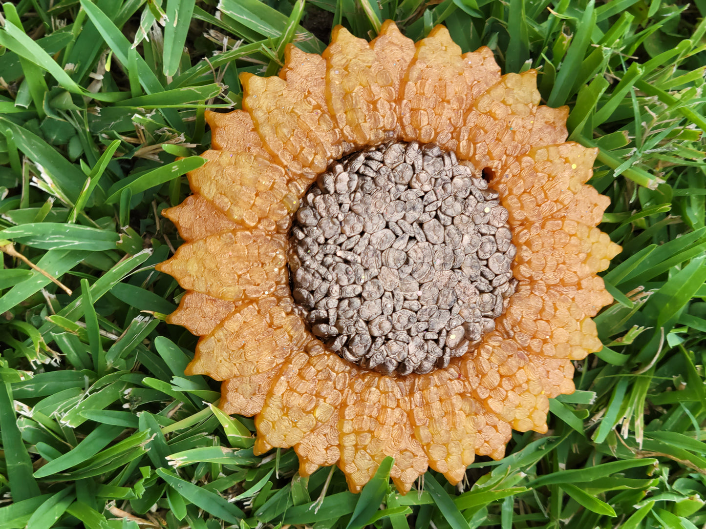 Large Sunflower