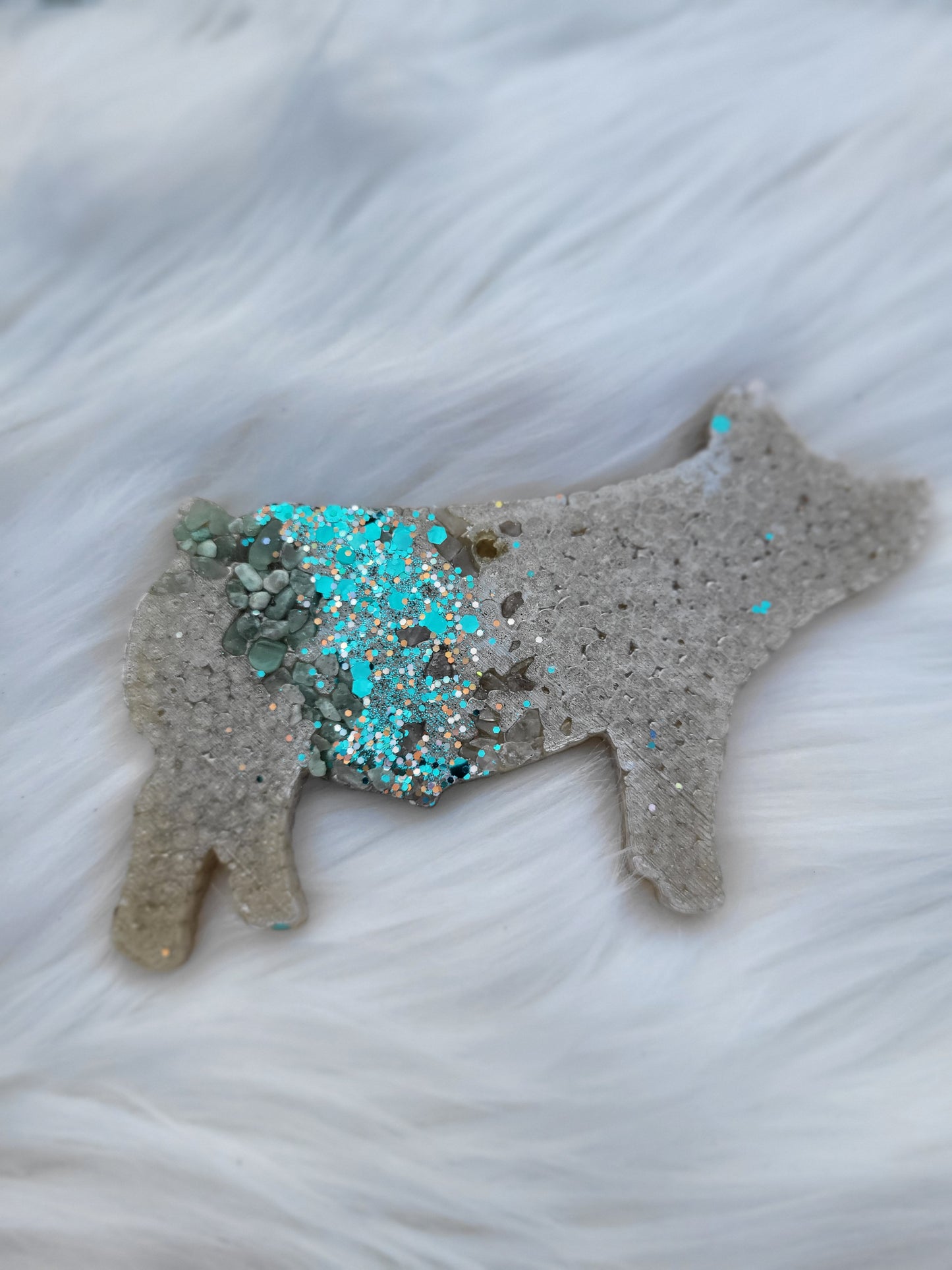 Show Pig- Driving Gilt